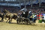 Extreme - 00447